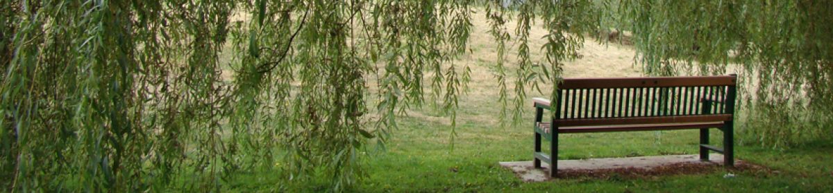 Our Planet Our Insight